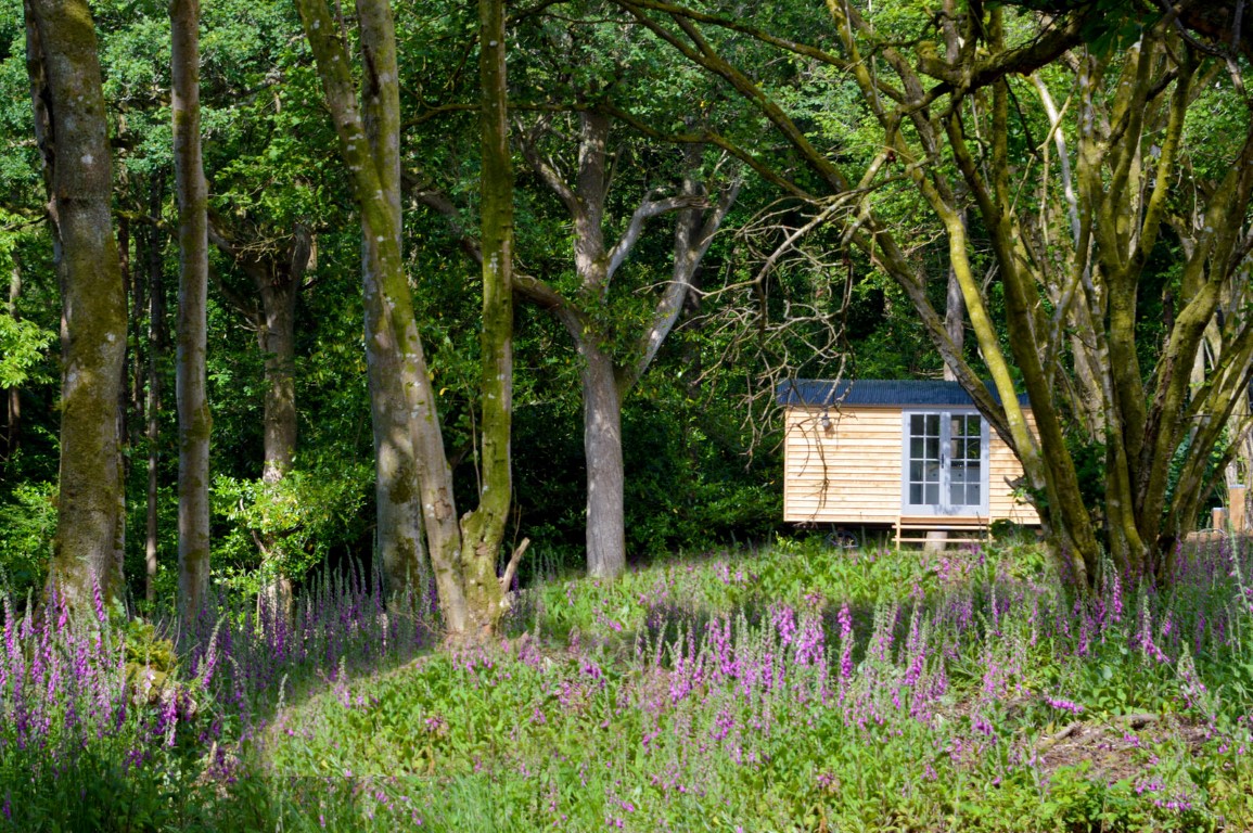 Luxury Shepherd Hut at Virginia Park Lodge